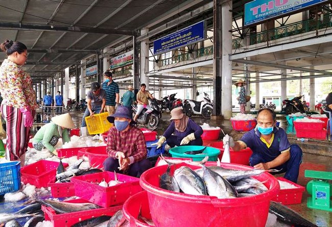 Khánh Hòa: Quản lý ngư dân đến từ vùng dịch, đảm bảo an toàn cảng cá (13/8/2020)